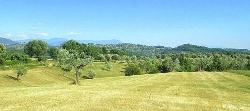 San Polo Villa Sleeps 8 Pool
