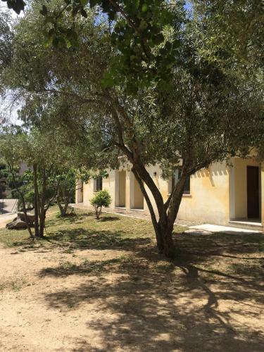 Apartamento San Pantaleo - Trilocale