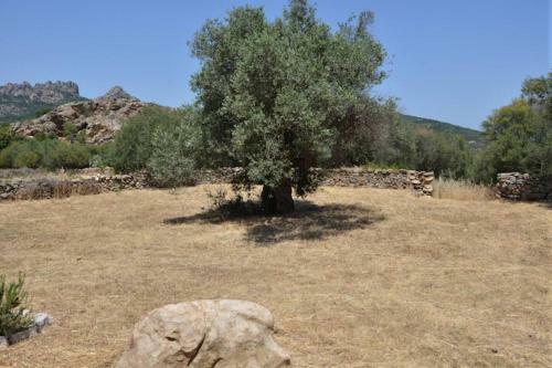 Tipico Stazzu A San Pantaleo