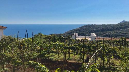 Apartamento Villa Amura - Due Golfi