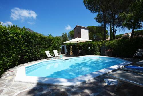 Villa Jungle House - Pineta Is Morus