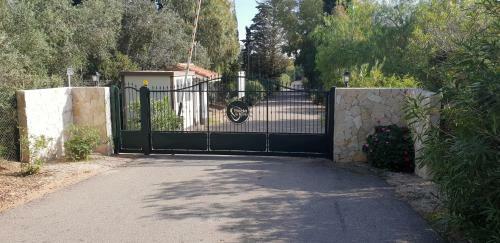 Villa Jungle House - Pineta Is Morus