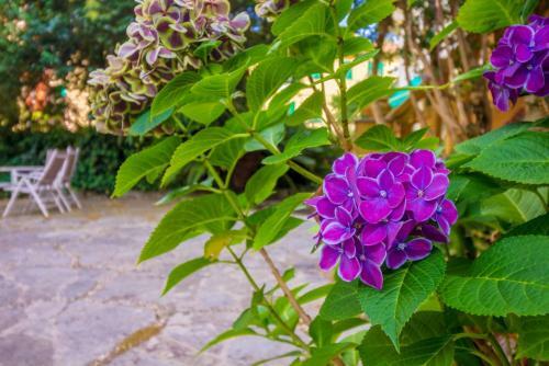 Apartamento Old Villa With Garden & Parking