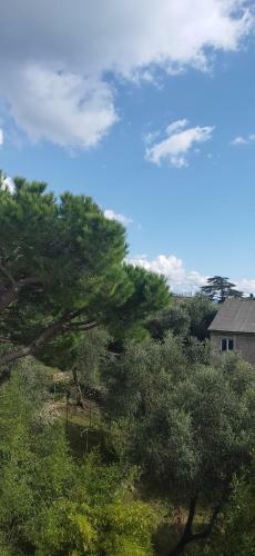 B&B Oasi Regina Pacis