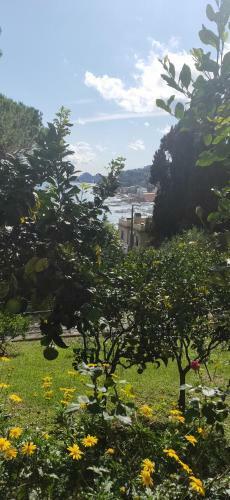B&B Oasi Regina Pacis