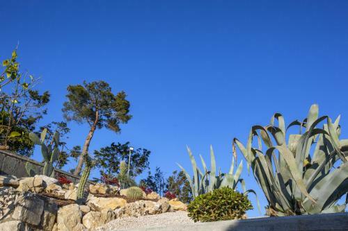 Amore Rentals - Villa Ligea
