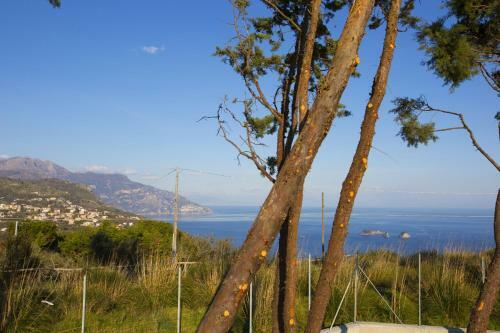 Amore Rentals - Villa Ligea