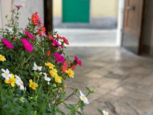 Apartamento B&B La Corte