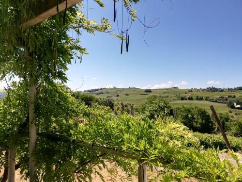 Agroturismo Sur�