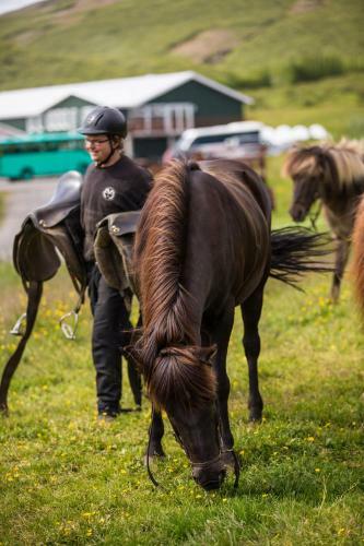 Agroturismo Farmhotel Efstidalur