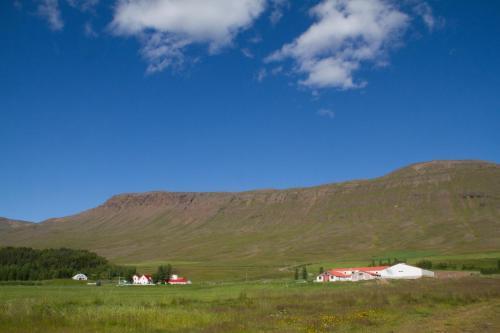 Hostal Guesthouse Hof In Vatnsdalur