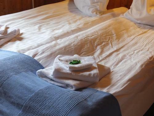 Agroturismo Guesthouse Nedra-vatnshorn
