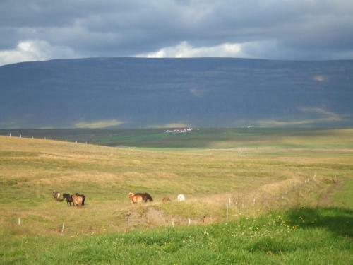 Agroturismo Guesthouse Nedra-vatnshorn
