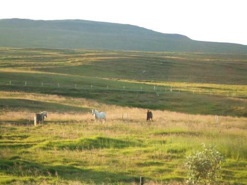 Agroturismo Guesthouse Nedra-vatnshorn