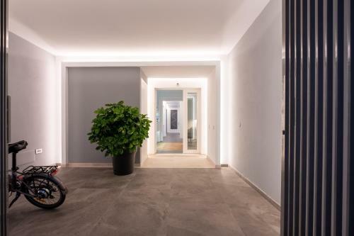 Bed & Breakfast Domu' Montegrappa 54