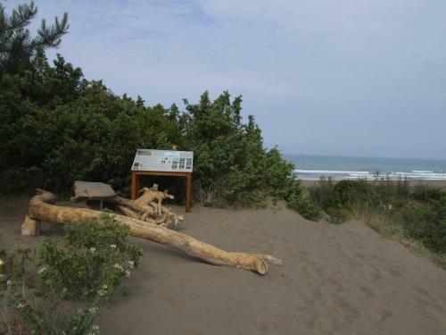 Apartamento Peonia 6 Pax