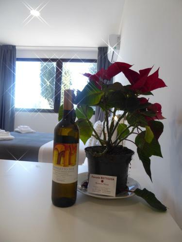 Agroturismo Agriturismo Tenuta Bettozza