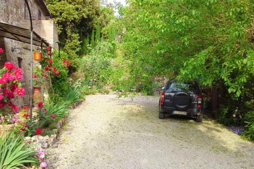 Apartment With 3 Bedrooms In Siena With Wifi