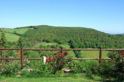 Apartment With 3 Bedrooms In Siena With Wifi