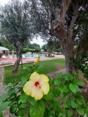 Bed & Breakfast Resort Villa Isola