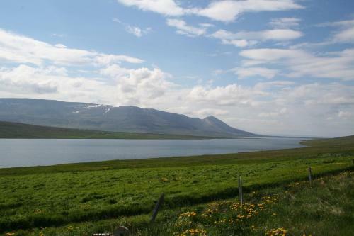Hostal Guesthouse Svinavatn