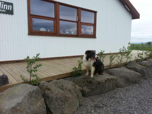 Glj�steinn Sk�linn Hostel