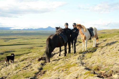 Glj�steinn Sk�linn Hostel