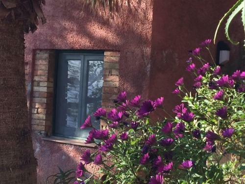 Bed & Breakfast Holidayfarm Monte Alto
