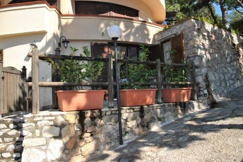 Casa Molly