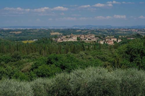Villa Treccianino 10