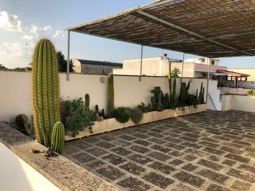 Casa Cesarina - Nel Cuore Del Basso Salento