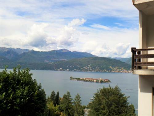 Apartamento Felicit�