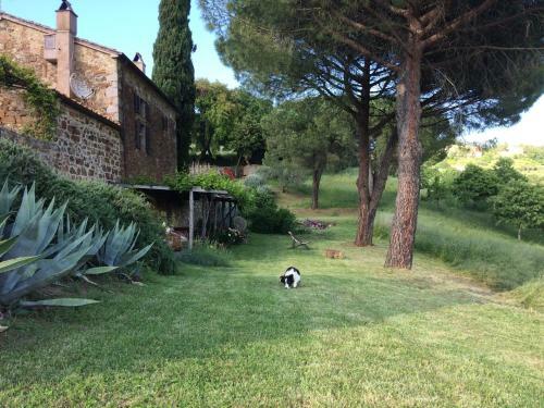 Agroturismo Nocini Di Maremma