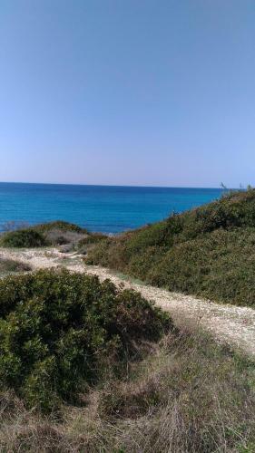 Casamar�