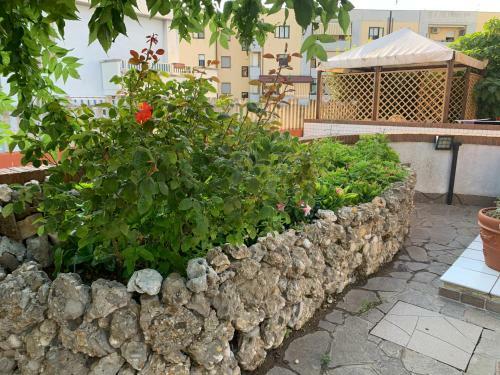 Bed & Breakfast B & B Villa Fiorella