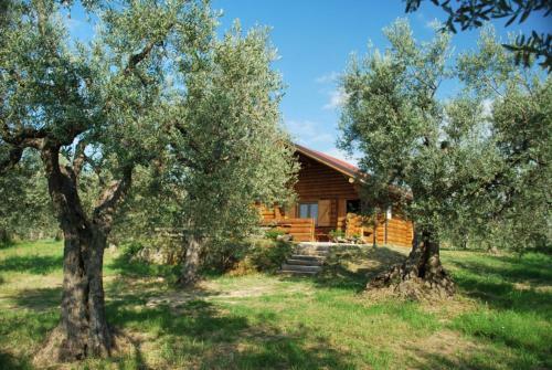 Apartamento Chalet 6 Agriturismo