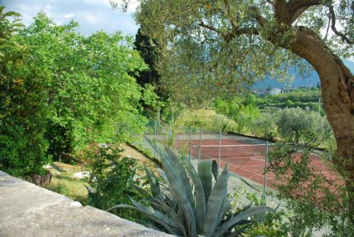 Apartamento Dante/pino
