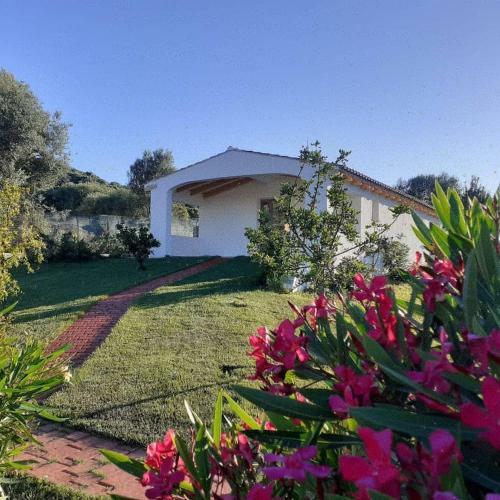 Bed & Breakfast Sardama