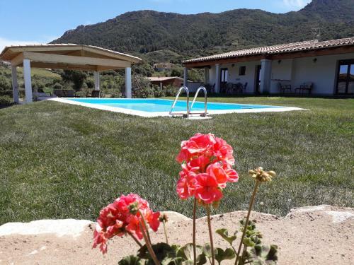 Bed & Breakfast Sardama