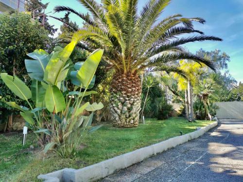Bed & Breakfast Villa & Mare