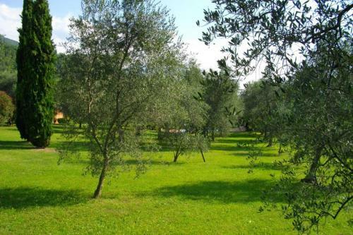 Apartamento Appartamento Al Golf Cir: 017187-cni-00127.
