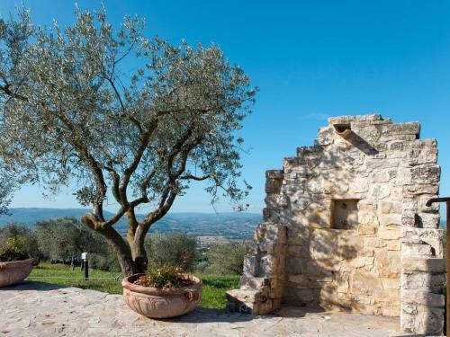 Locazione Turistica Roseto
