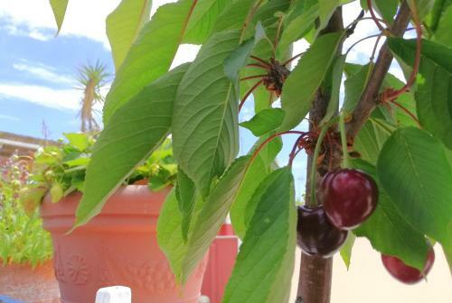 Tuara B&B