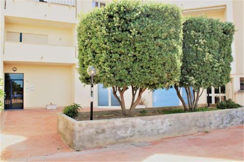 Zibibbo Beach Apartments Trapani