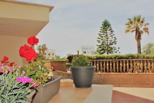 Zibibbo Beach Apartments Trapani
