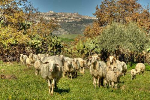 Agroturismo Le Querce Di Cota