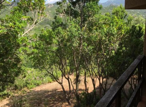 Apartamento Il Boschetto Dei Corbezzoli Villetta 1h