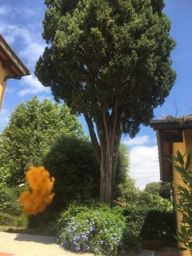 Apartamento Locanda Dei Sette Limoni