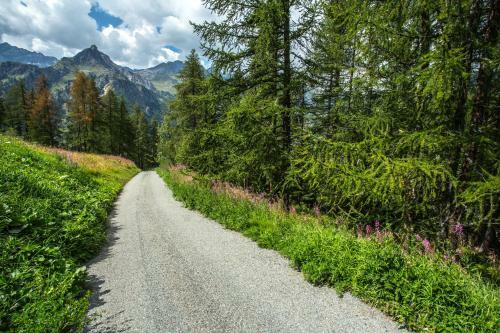 Hellochalet - Chalet D'alpage Larose- Isolato Nella Natura