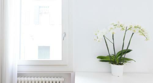 Apartamento Bella Vita Charming House
